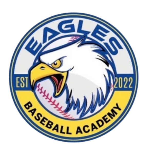 Academy Logo 3